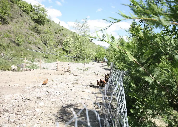 Lugina E Shengjergjit ,bujtinat