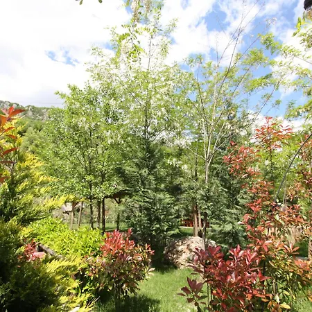 Lodge Lugina E Shengjergjit ,bujtinat