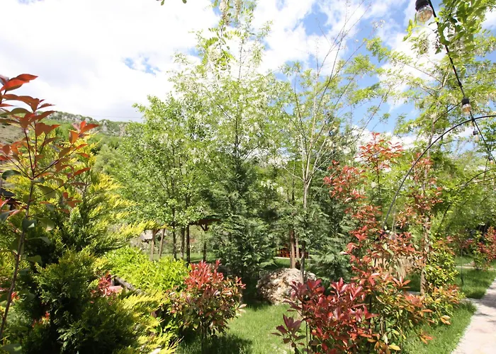 Lodge Lugina E Shengjergjit ,bujtinat